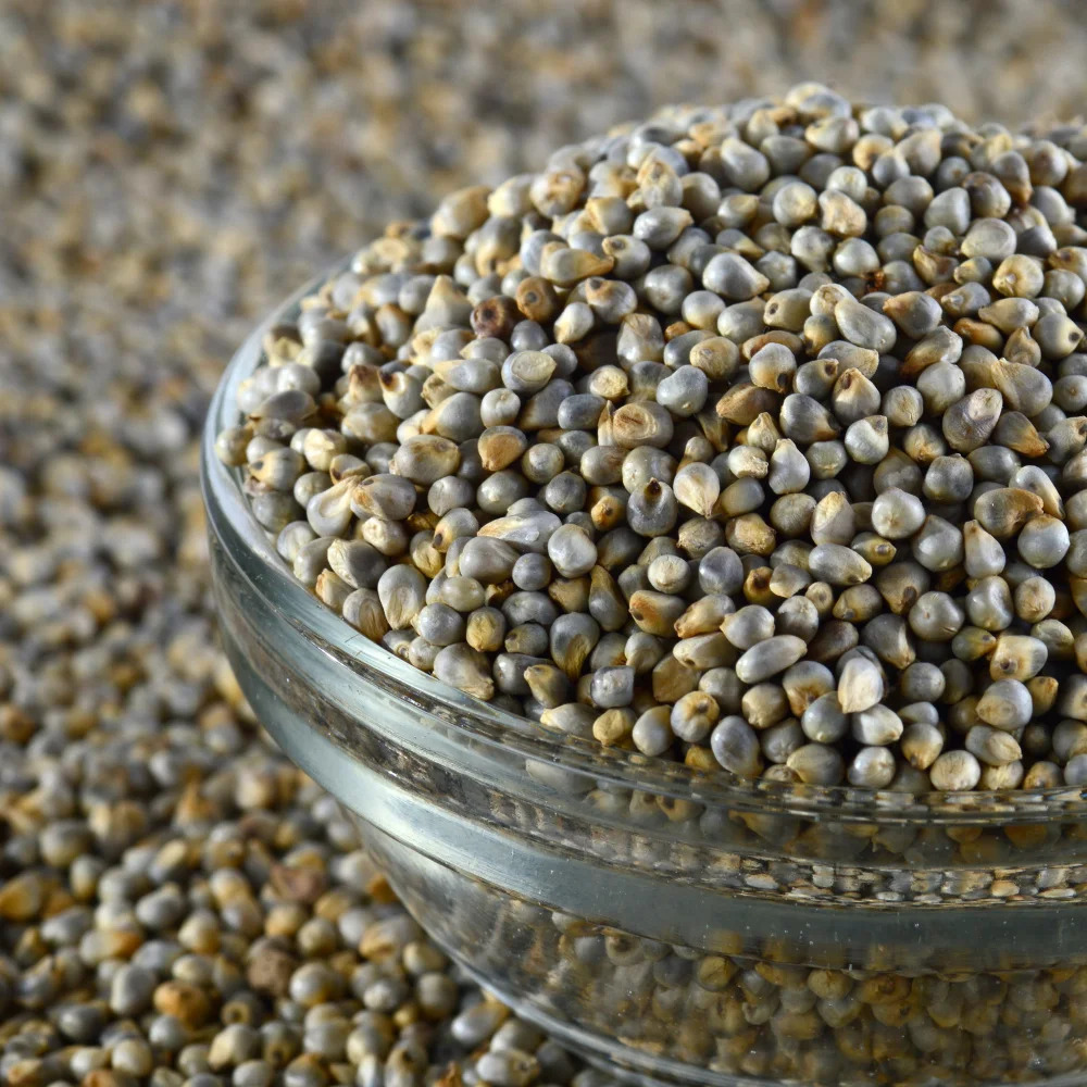 Organic Bajra