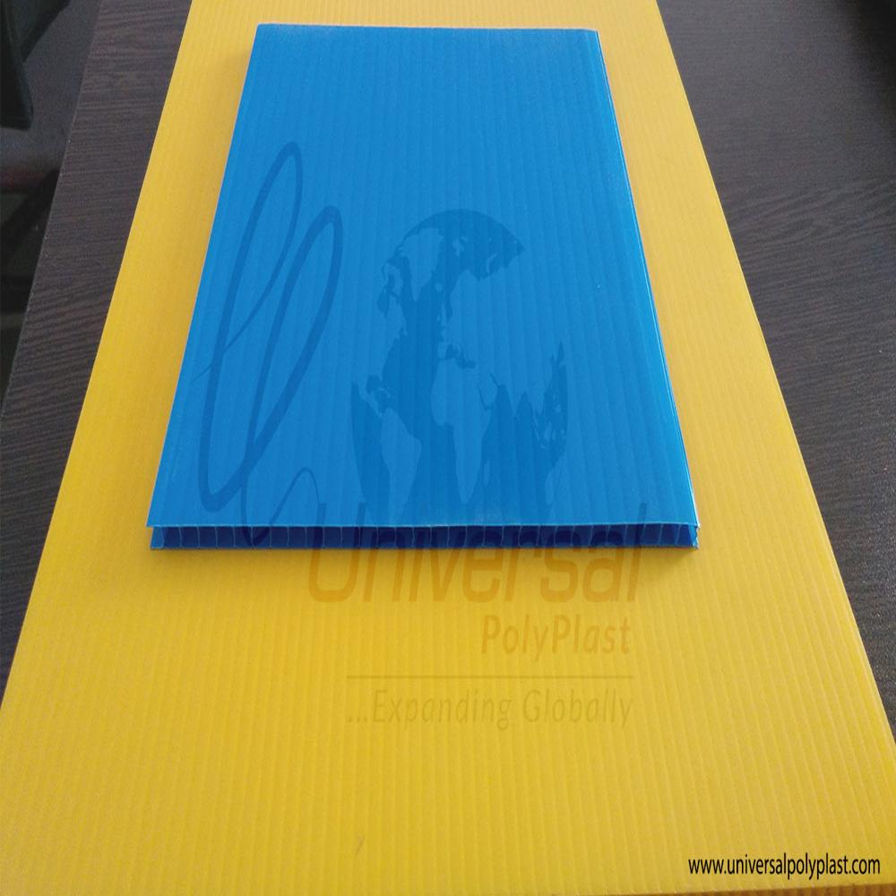 Colorful PP Sunpack Sheet