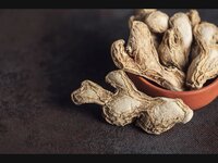 Garlic Flakes