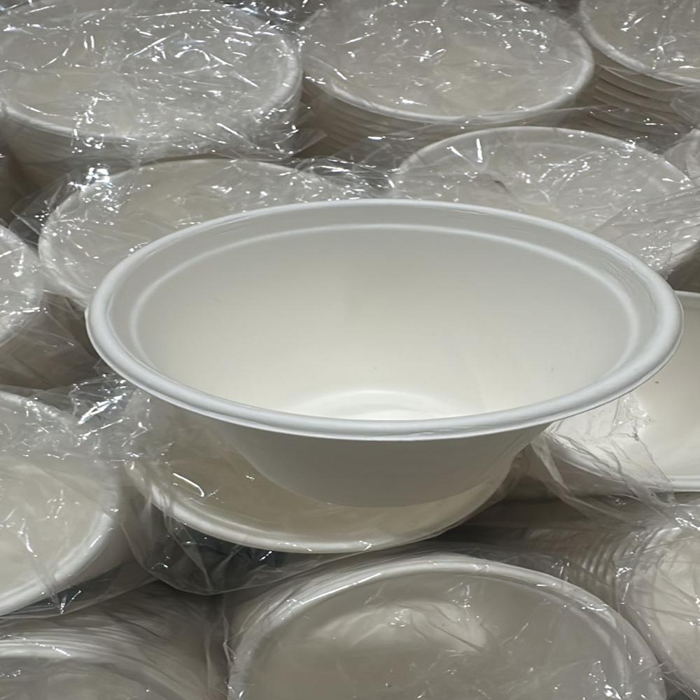 Disposable 250 ML Bagasse Glass
