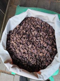 Black cardamom