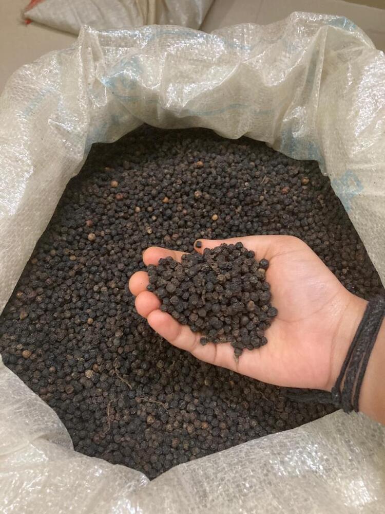 Black papper