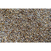 A Grade Bajra Seeds