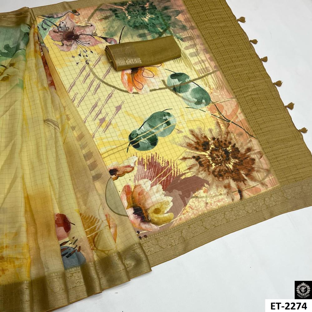 Modern Ethnic saree