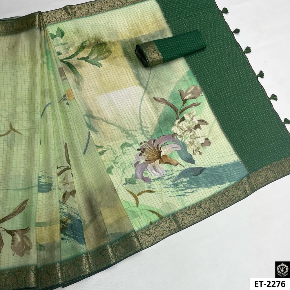 Green stylish saree