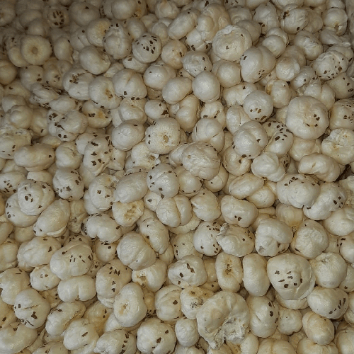 Natural Foxnut - Broken (%): Nil