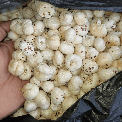 Natural Makhana - Broken (%): Nil