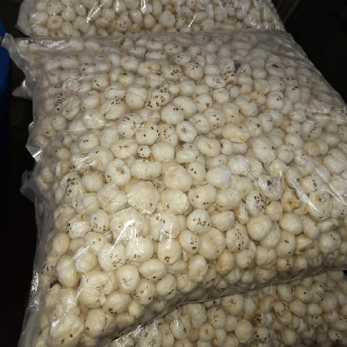 Packaged Foxnut - Broken (%): Nil