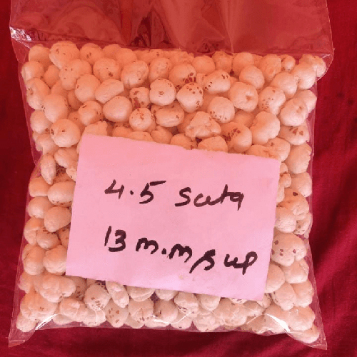 4.5 Suta 13 Mm Makhana - Broken (%): Nil