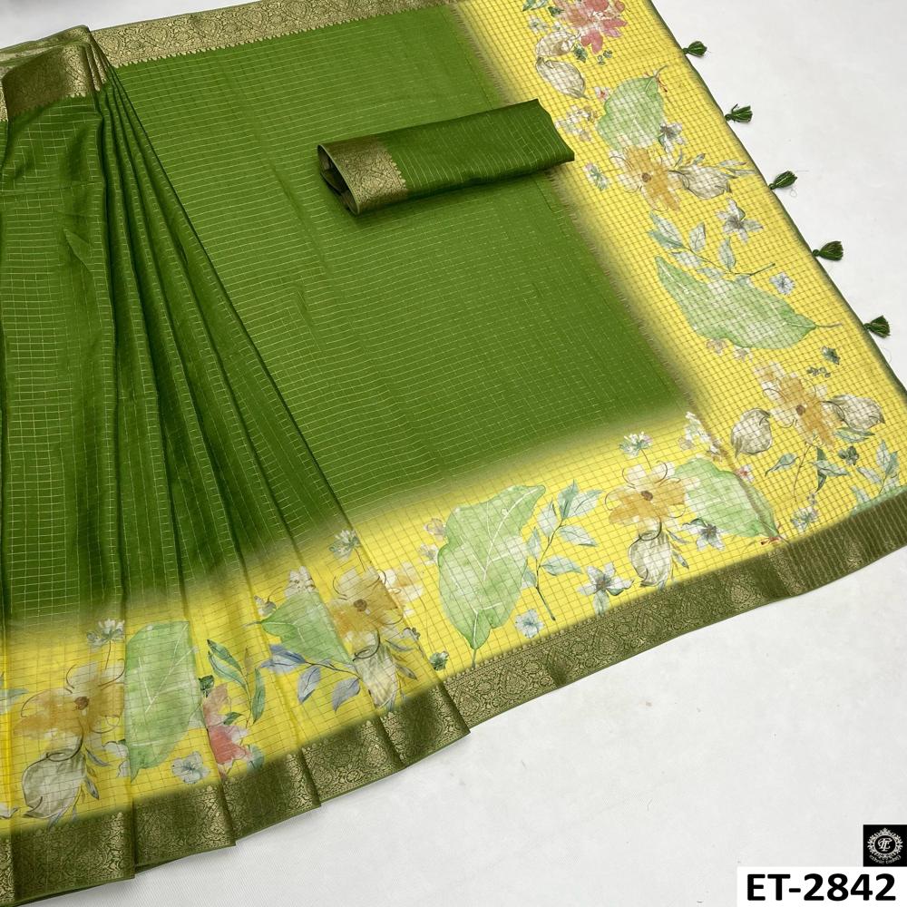 Green elegant saree