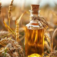 Wheat Germ Oil