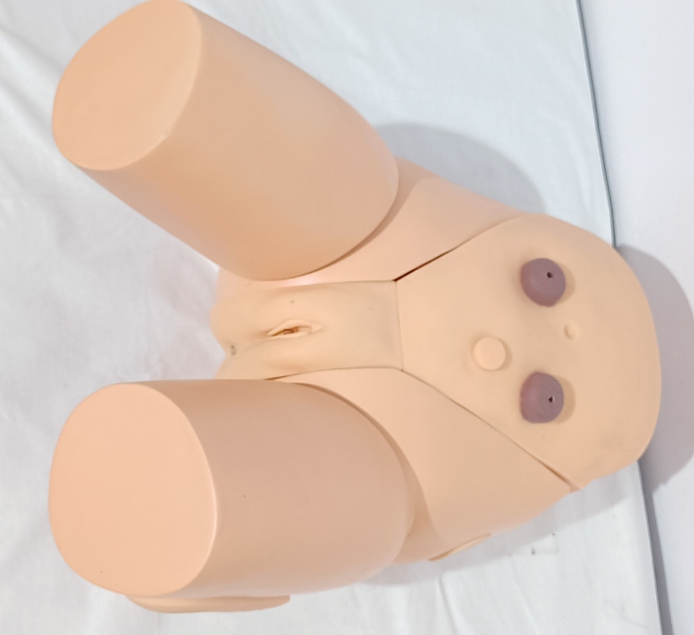 Female Catheterization - Application: Hospital And Laboratory
