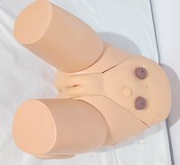 model manikin
