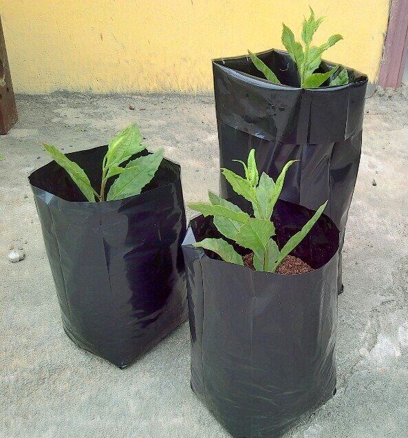 8*10 Nursery Bag - Coating Type: Laminated