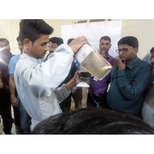 Paint Consultant Service