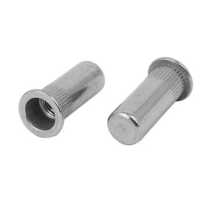 Ss Insert Nut - Color: Silver