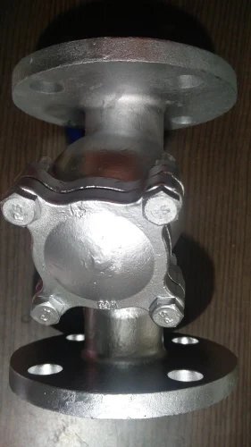 Stainless Steel Y Strainer