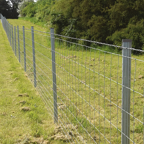 Wire Fencing