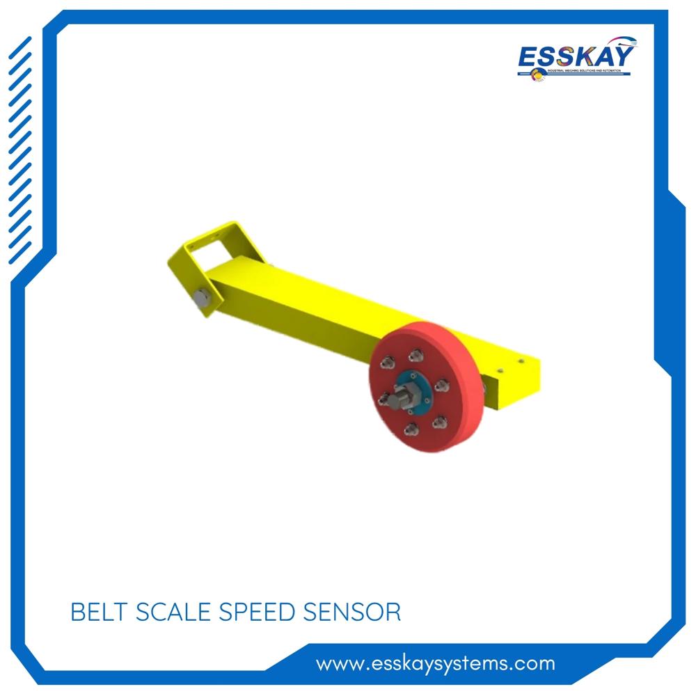 Conveyor Weighing System