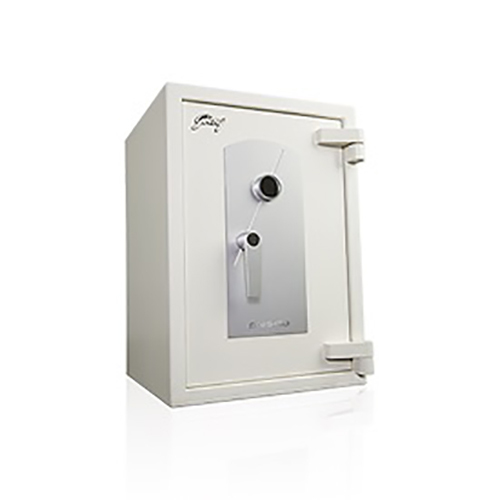 Godrej Presidio 50 Locker