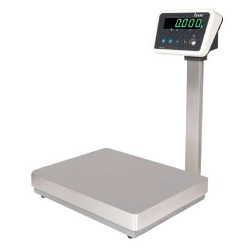ESSAE DS 515N Platform Scale