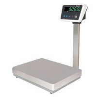 ESSAE DS 515N Platform Scale
