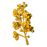Mini Grapes Flower