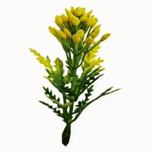 Moti Dark Green Yellow Artificial Plastic Plant Fillers