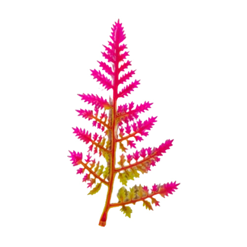 Fern Patti Yellow Pink Artificial Plastic Plant Fillers