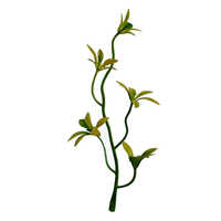 Five Flower