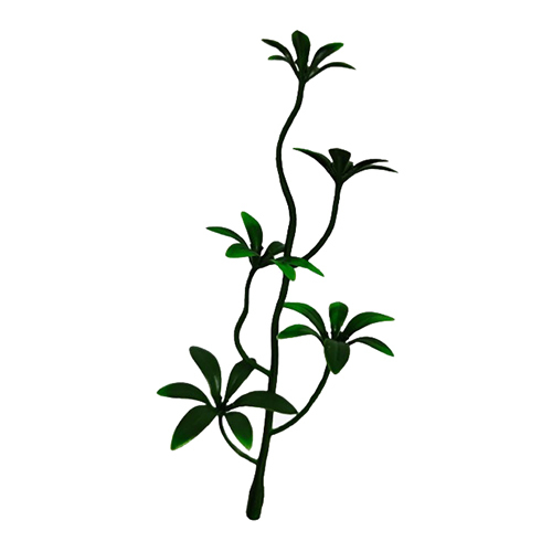 Five Flower - Color: Green