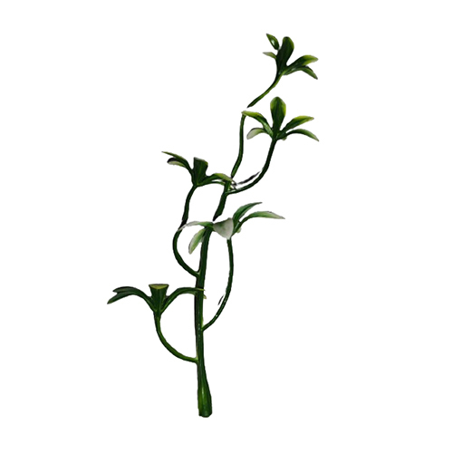 Five Flower