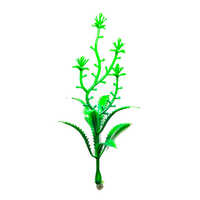 Neem Flower - Color: Green