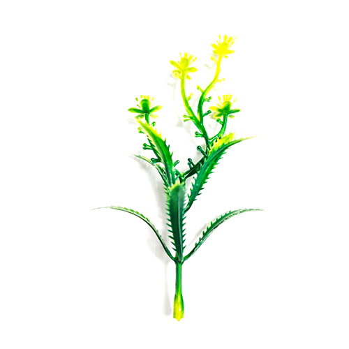 Neem Flower