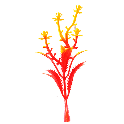 Neem Flower