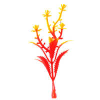 Neem Flower