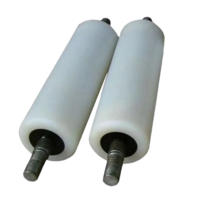 Nylon Conveyor Roller - Diameter: 100 Millimeter (mm)