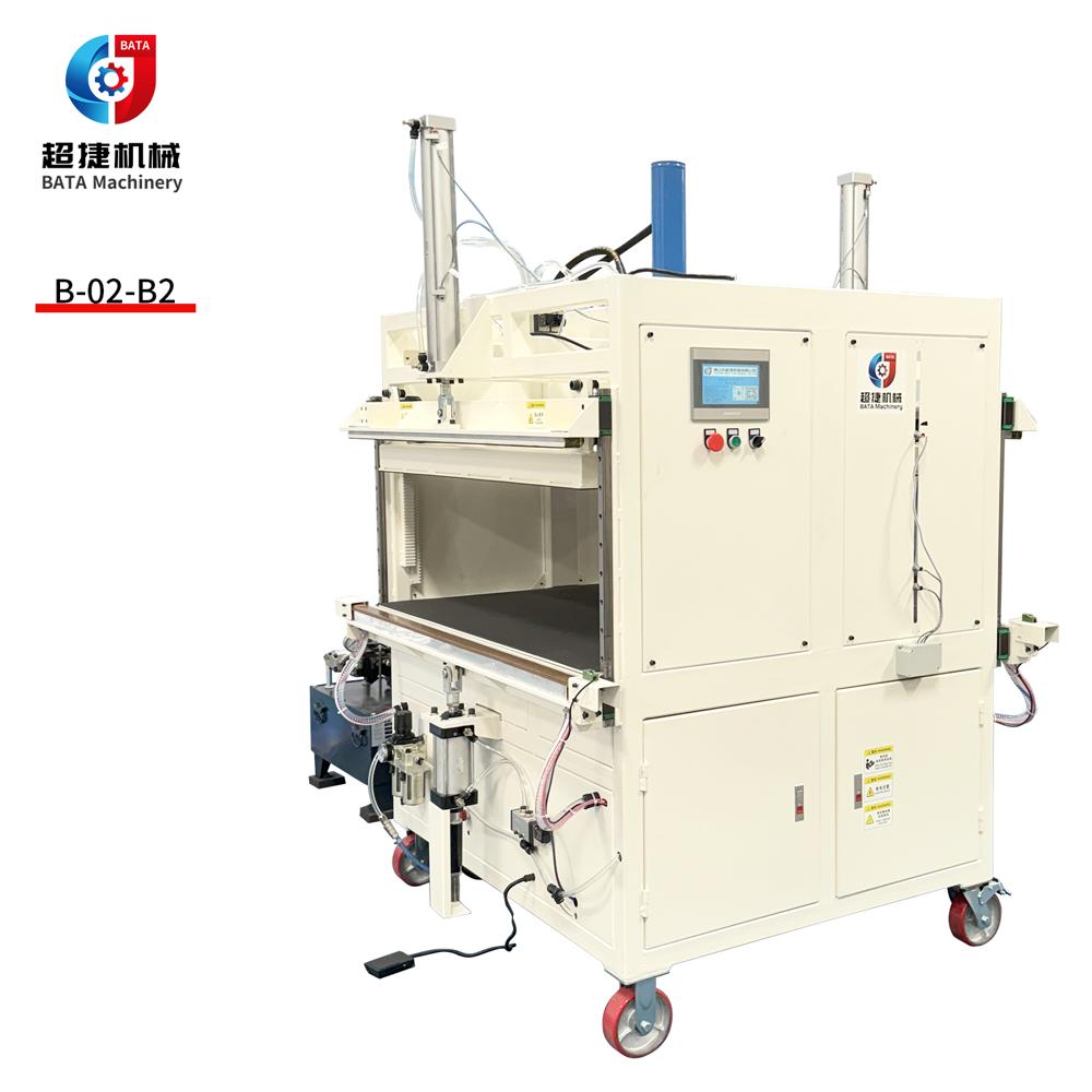 Pillow Vacuum Packing Machine with Dual station