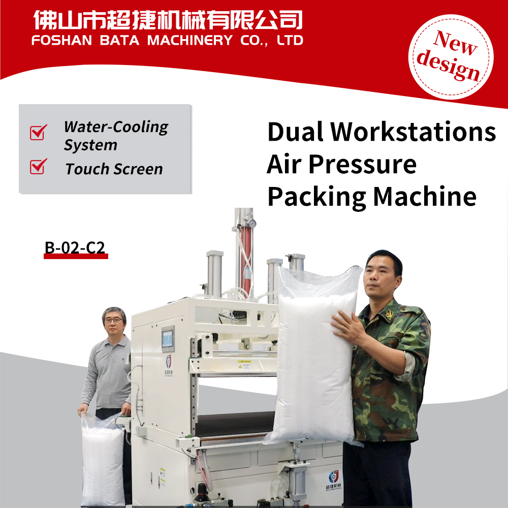 Pillow Vacuum Packing Machine with Dual station