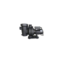 Swimming Pool Pump - Color: Black