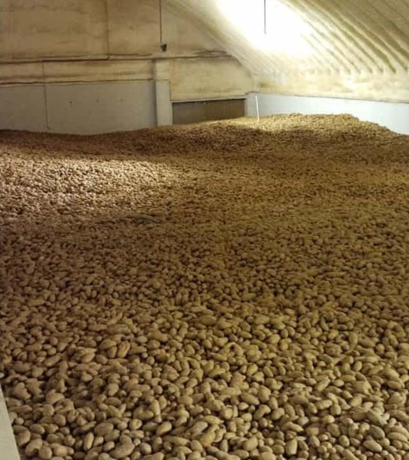 आलू भंडारण ठंडे कक्ष प्रणाली