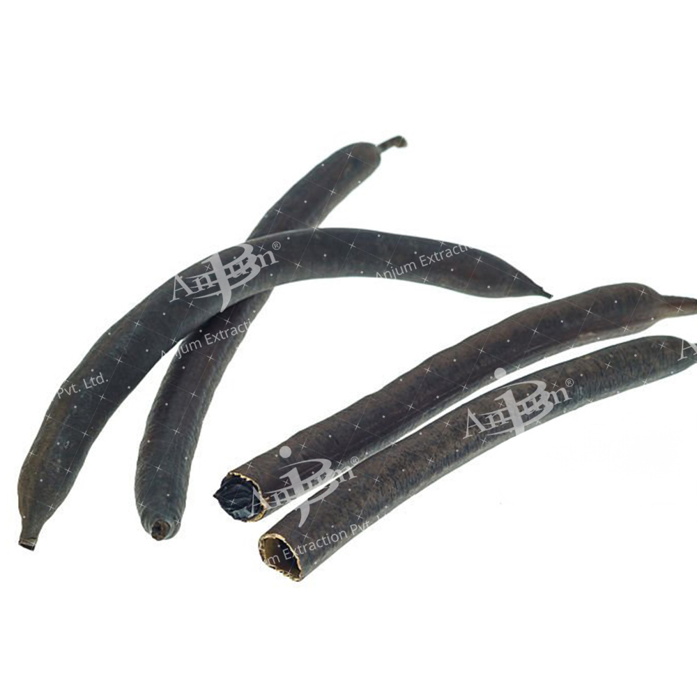 Cassia fistula (Amaltas) Extract