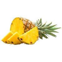 Bromelain 2400-1200 Gdu - Application: Pharmaceutical