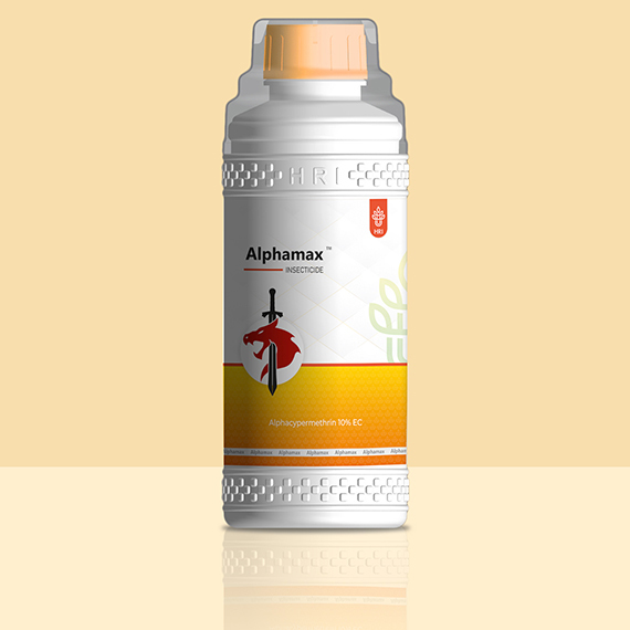 Alphacypermethrin 10 Percent EC Insecticide