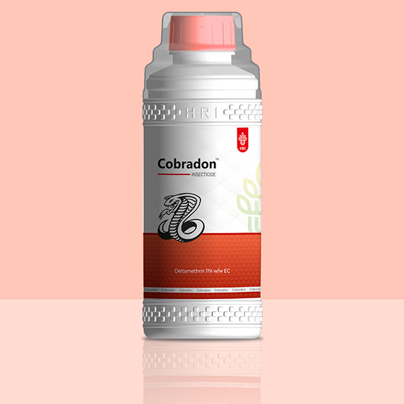 Deltamethrin 11 Percent W-W Ec Insecticide - Application: Pest Control