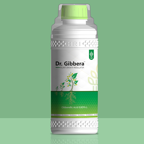 Gibberellic Acid 0.001 Percent L Plant Growth Promoter