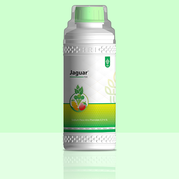 Sodium Para-nitro phenolate 0.3 Percent SL Plant Growth Promoter