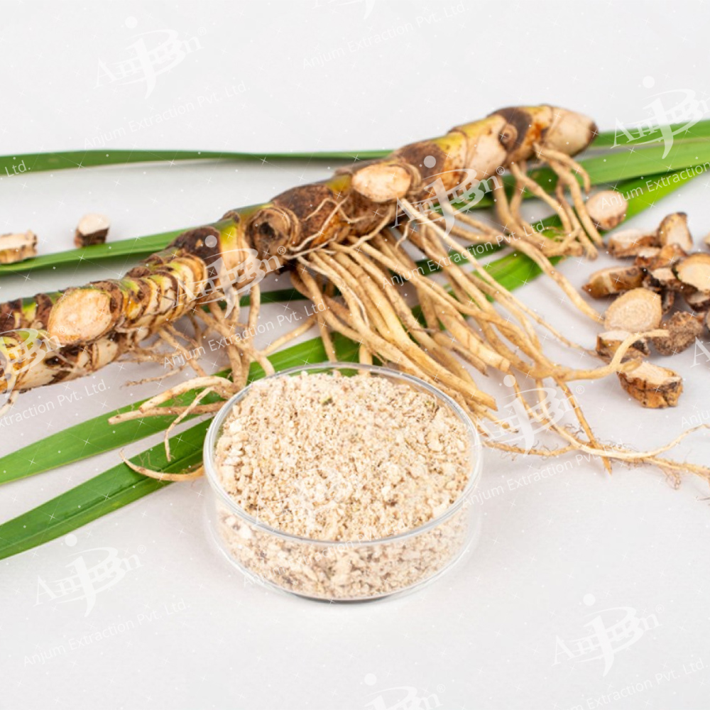 Acorus Calamus (vach) Extract - Application: Medicine