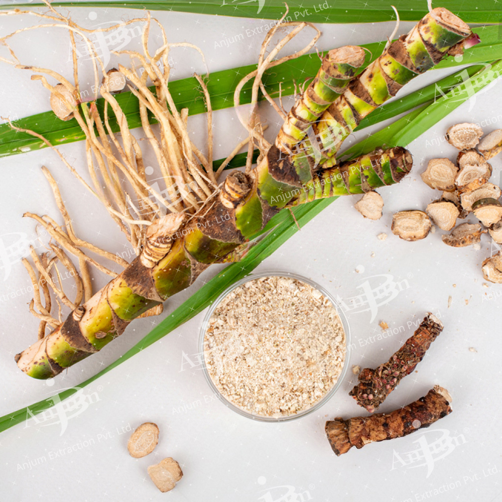 Acorus Calamus (Vach) Extract - Application: Medicine