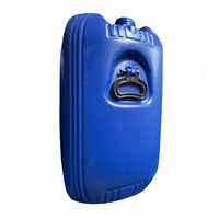 25kg Laundry Cleaning Chemical - Physical Form: Liquid